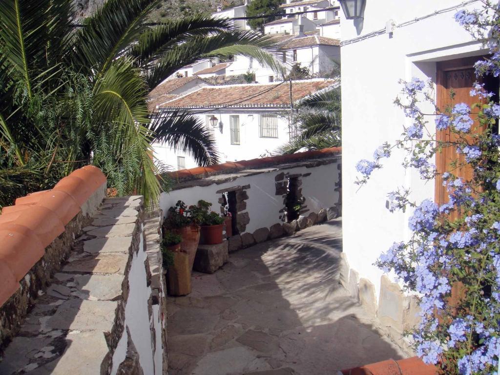 Apartamentos Buganvilla Villaluenga Del Rosario Cameră foto